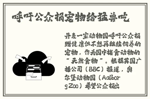 夜里十**用B站APP
