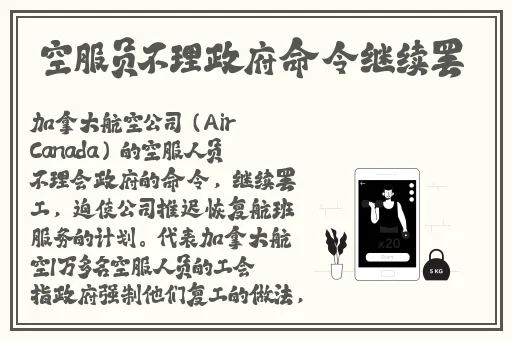 高清小学生VPSWINDOWS