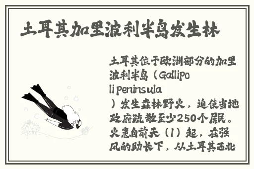 2024Gy站